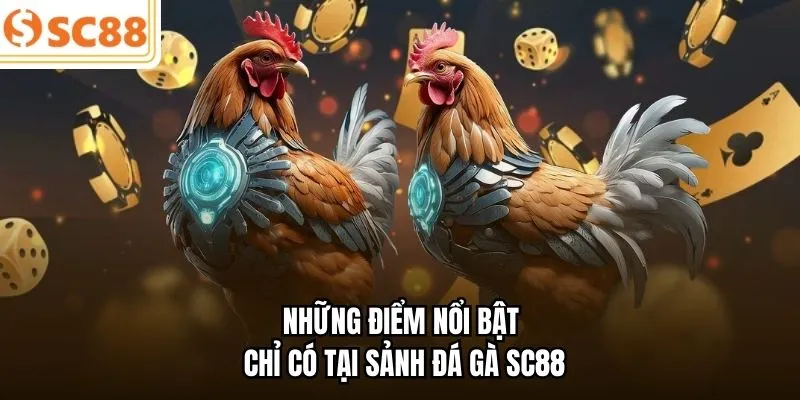 Những điểm nổi bật chỉ có tại sảnh đá gà SC88