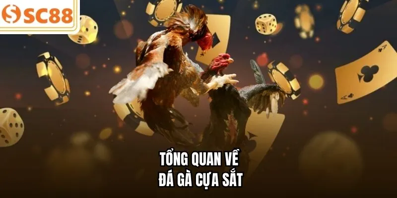 Tổng quan về đá gà cựa sắt