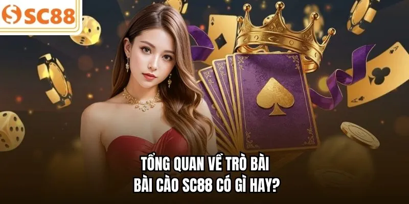 Tổng quan về trò bài Bài cào SC88 có gì hay?
